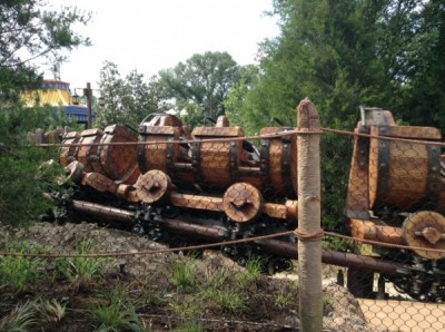 Seven Dwarfs Mine Train (3)
