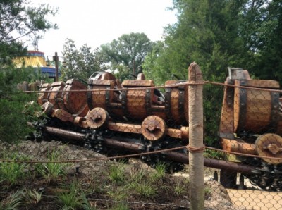 Seven Dwarfs Mine Train (3)