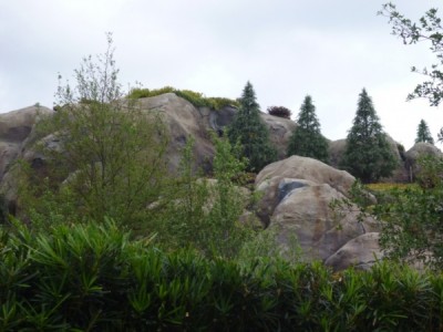 Seven Dwarfs Mine Train (5)