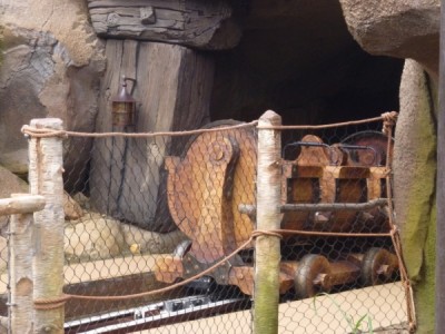 Seven Dwarfs Mine Train (9)