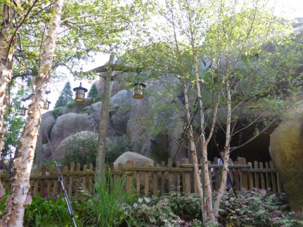 Seven Dwarfs Mine Train queue (21)