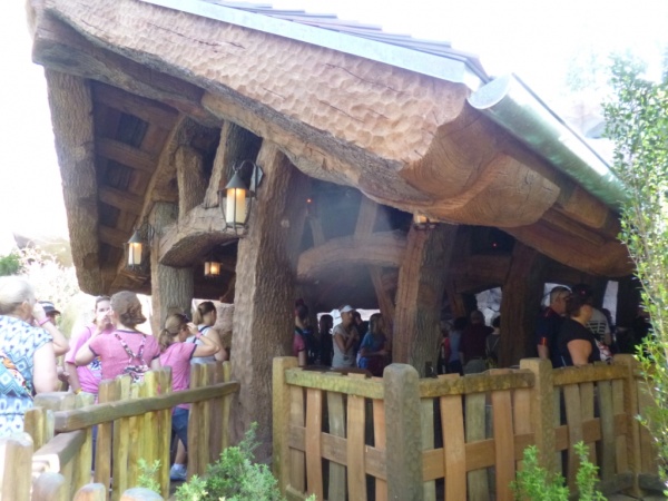 Seven Dwarfs Mine Train queue (24)