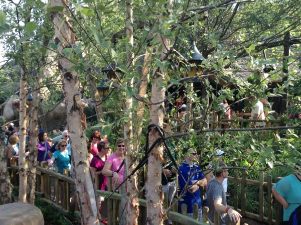 Seven Dwarfs Mine Train queue (4)