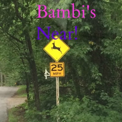 Bambi Deer Use