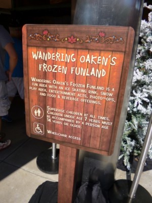 Frozen Summer Fun Live Hollywood Studios Frozen Funland (7)