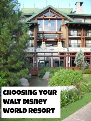 The Wilderness Lodge