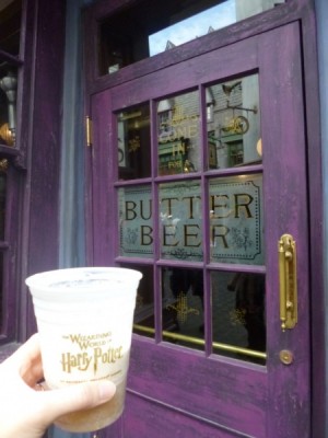 universal studios wizarding world of harry potter diagon alley (32)