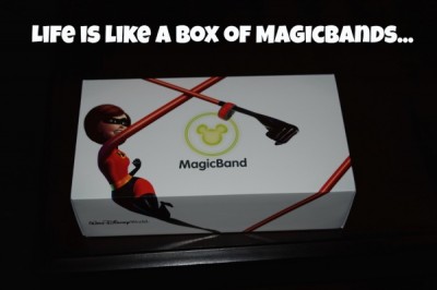 Life is like a box of MagicBands...