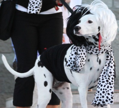 Cruella de Vil takes first place