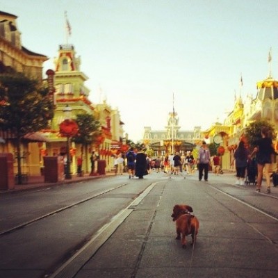 One last walk down Main Street U.S.A.