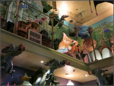 Just one of the great details of this shop. Crookshanks peeking over the ledge.