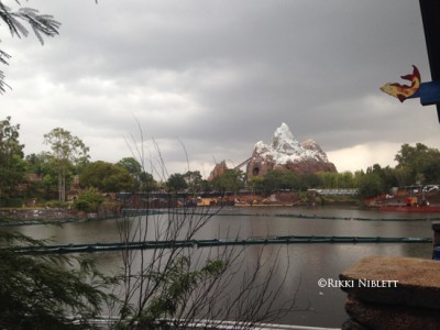 View from Flame Tree Barbecue