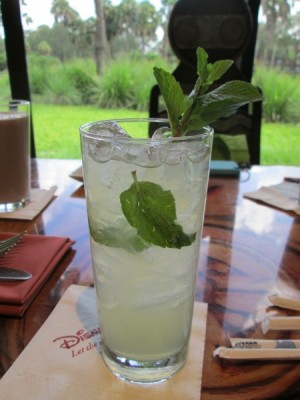 Sanaa Mojito