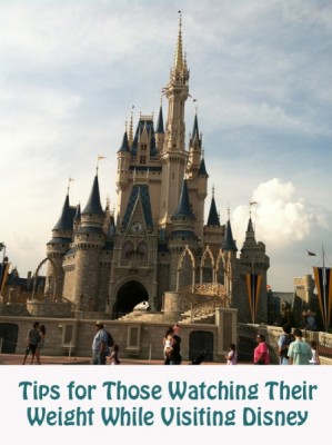 Tips for Those Watching Your Weight Visiting Disney 2