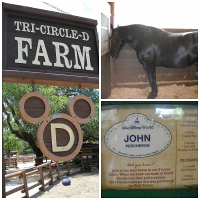 Tri-Circle-D Ranch