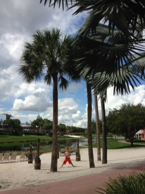 Sandy beaches and Shady Palms