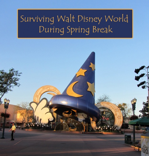 Surviving Disney During Spring Break