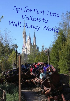 Tips for First Time Visitors to Walt Disney World