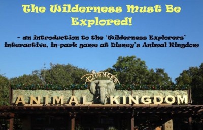 Wilderness Exp (1)