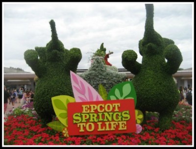 epcot springs