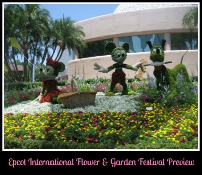 flower and garden preview