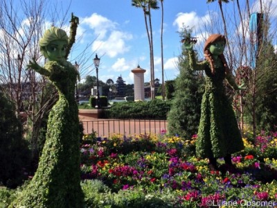 epcot flower and garden festival