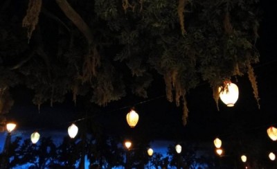 The Blue Bayou