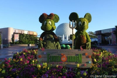 epcot flower and garden festival