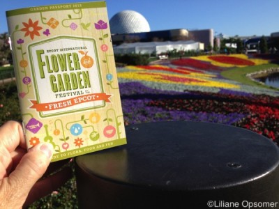 epcot flower and garden festival