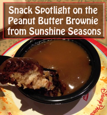 Snack Spotlight on the Peanut Butter Brownie from Sunshine Seasons at Epcot