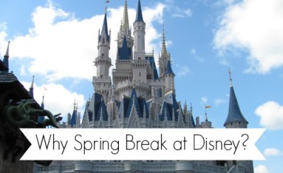 Why spend your spring break at Disney | The Mouse For Less