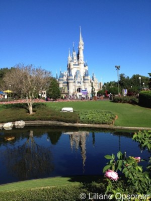 Castle in sun MK