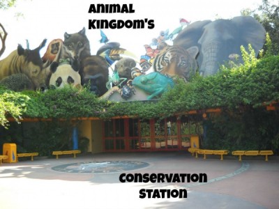 Conservation Station