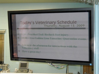 Conservation Station Vet Schedule