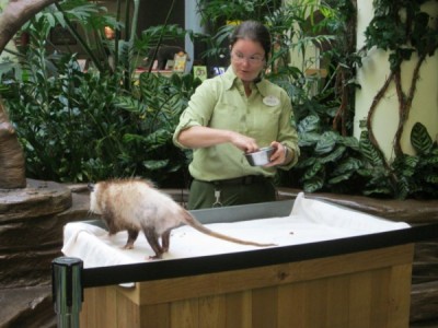 Conservation Station encounters