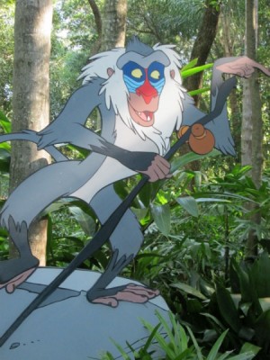 Rafiki sign