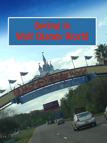 Spring in Disney World
