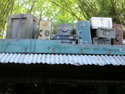 Wildlife Express Luggage on Train