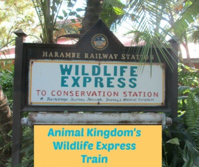 Wildlife Express Sign