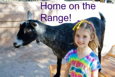 Home on the Range Pinterest