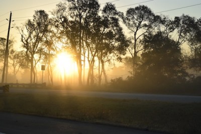 tim driving sunrise