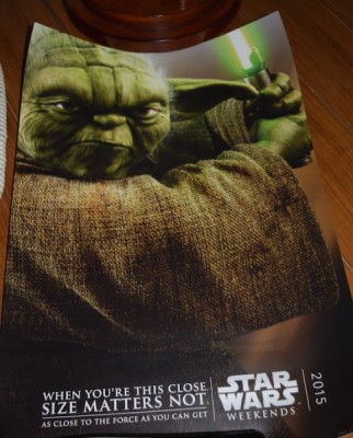 tim sww15 yoda poster