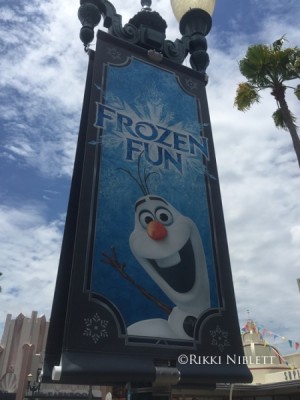 Frozen Summer Fun Banner