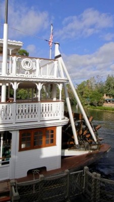 Paddlewheeler (8)