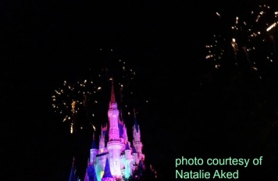 Magic Kingdom (4)