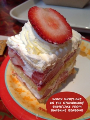 Snack Spotlight on the Strawberry Shortcake from Sunshine Seasons