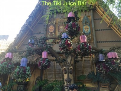 Tiki Juice Bar