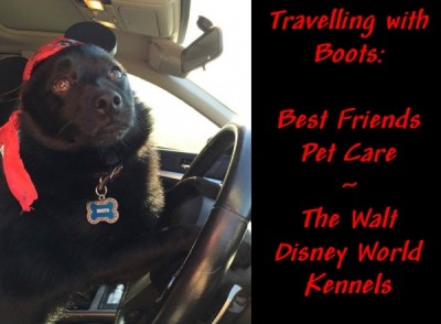 WDW Kennels