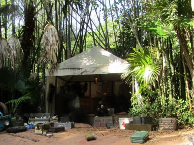 MFL Jungle Camp