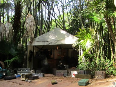 MFL Jungle Camp